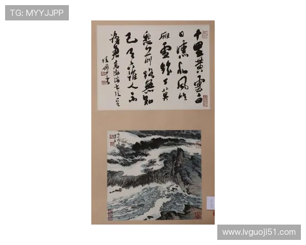 北京台财经频道直播：实时掌握市场动态与投资机会